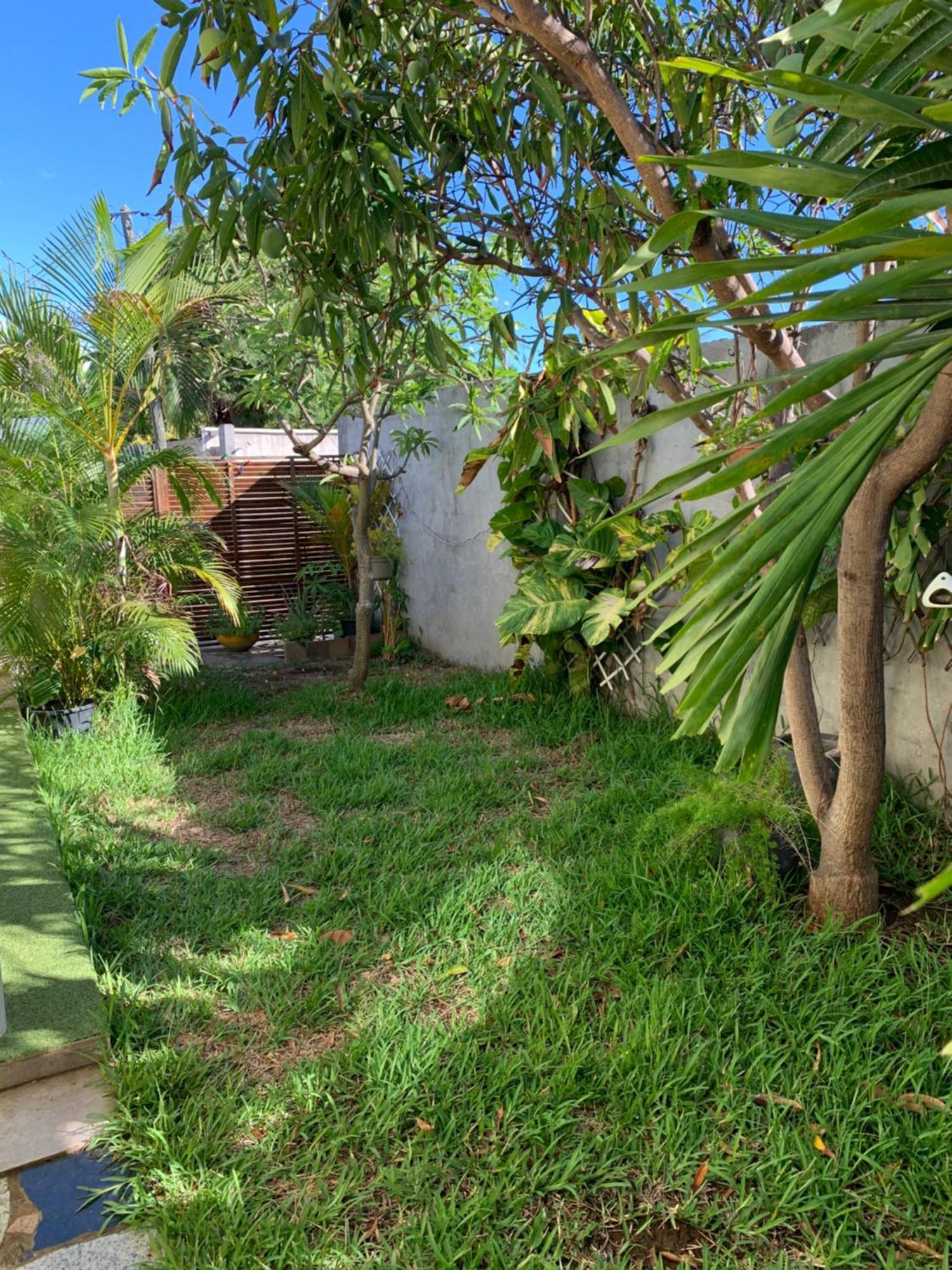 Bungalow Les Coraux La Saline Le Bains Dış mekan fotoğraf